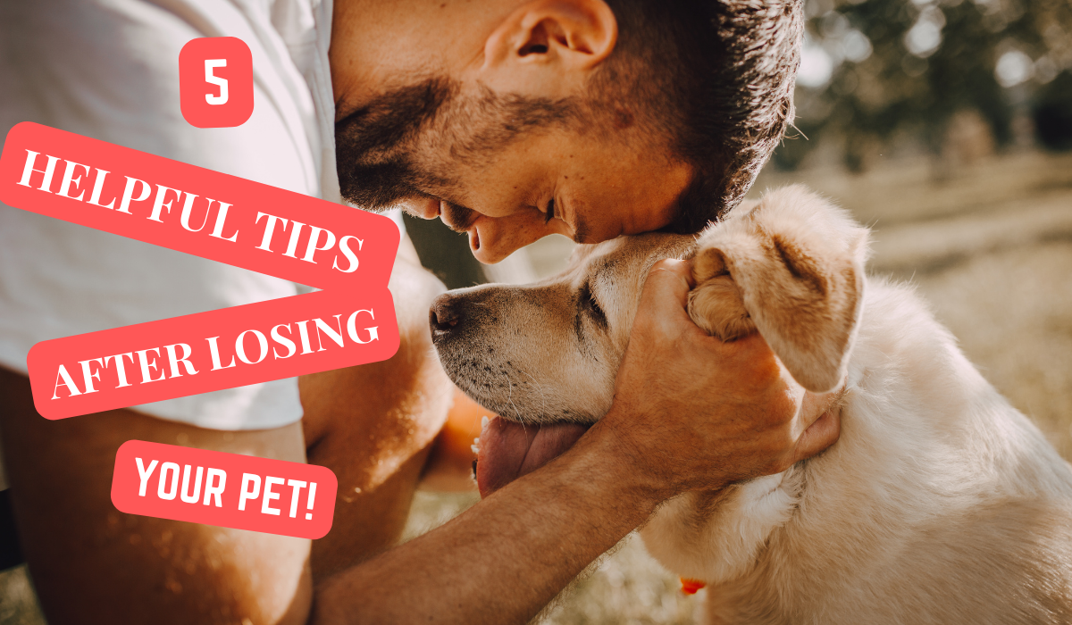 Read more about the article LOSING A PET SUDDENLY! 5 HELPFUL TIPS