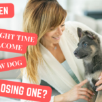GETTING A NEW DOG AFTER LOSING ONE: WHEN IS THE RIGHT TIME?